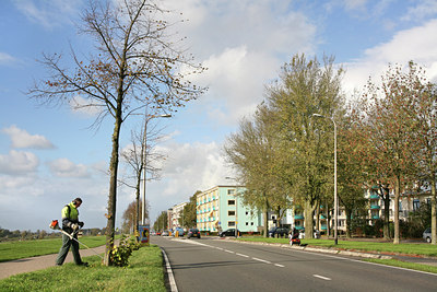 BUITEN BEELD Foto: 69229
