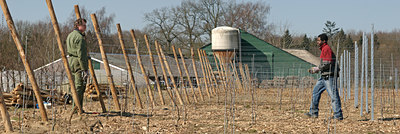 BUITEN BEELD Foto: 69235
