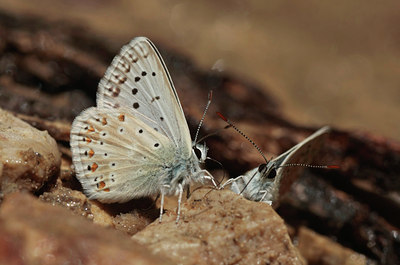 BUITEN BEELD Foto: 69261