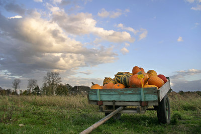 BUITEN BEELD Foto: 69326