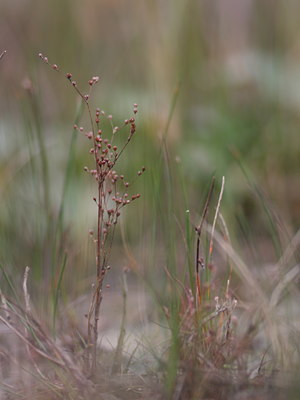 BUITEN BEELD Foto: 69350