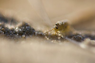 BUITEN BEELD Foto: 69450