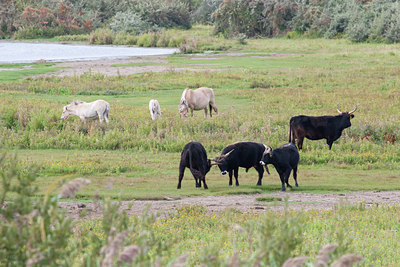 BUITEN BEELD Foto: 69467