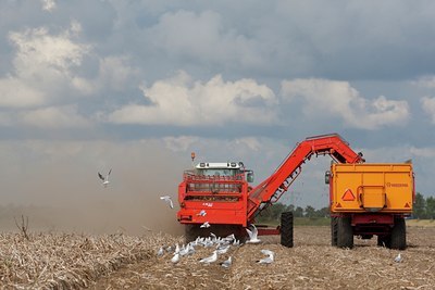 BUITEN BEELD Foto: 69472