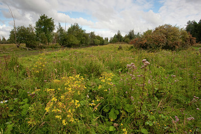 BUITEN BEELD Foto: 69487