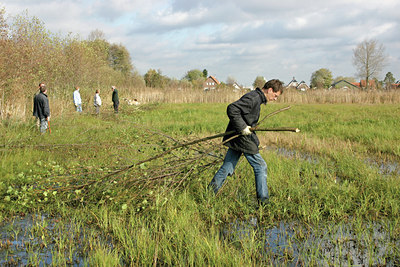 BUITEN BEELD Foto: 69490