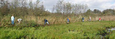 BUITEN BEELD Foto: 69491