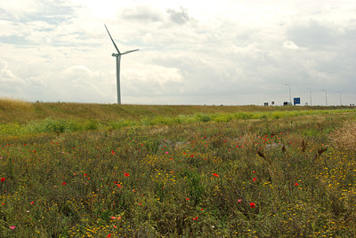 BUITEN BEELD Foto: 69499