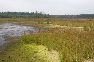 BUITEN BEELD Foto: 69521