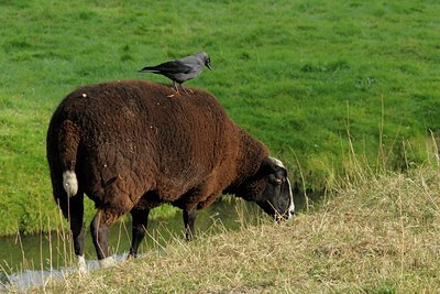 BUITEN BEELD Foto: 69584