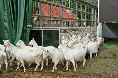 BUITEN BEELD Foto: 69624