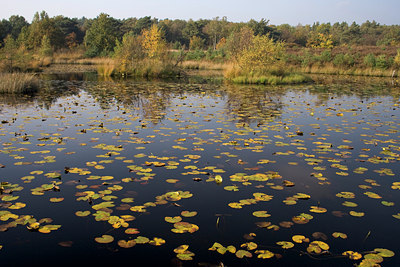 BUITEN BEELD Foto: 69673