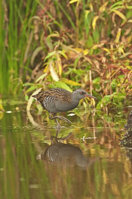 BUITEN BEELD Foto: 69684