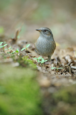 BUITEN BEELD Foto: 69699