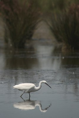 BUITEN BEELD Foto: 69736