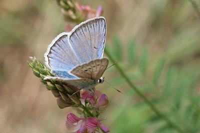 BUITEN BEELD Foto: 69741