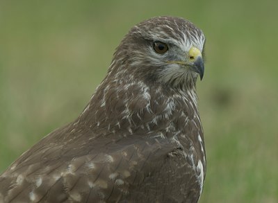 BUITEN BEELD Foto: 69750