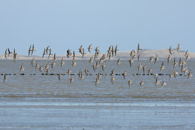BUITEN BEELD Foto: 69765