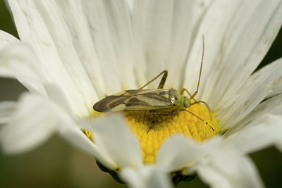 BUITEN BEELD Foto: 69768