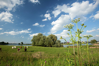 BUITEN BEELD Foto: 69805