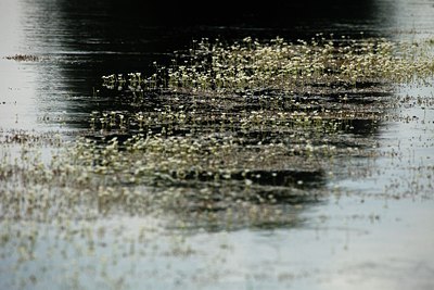 BUITEN BEELD Foto: 69820