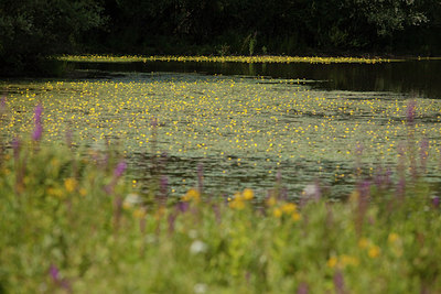 BUITEN BEELD Foto: 69825