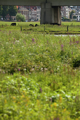 BUITEN BEELD Foto: 69827