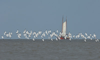 BUITEN BEELD Foto: 69843