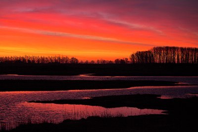 BUITEN BEELD Foto: 70084