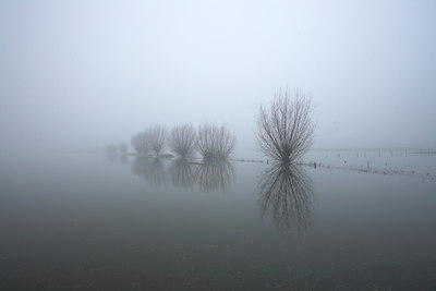 BUITEN BEELD Foto: 70085