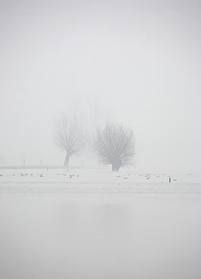 BUITEN BEELD Foto: 70089