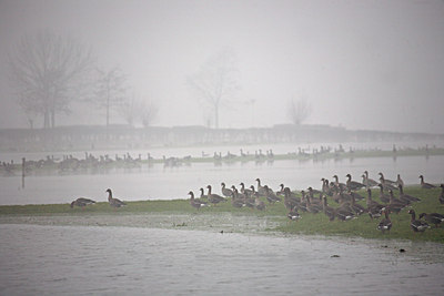 BUITEN BEELD Foto: 70094