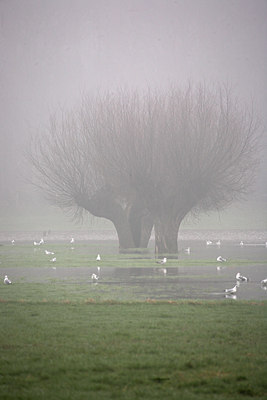 BUITEN BEELD Foto: 70097