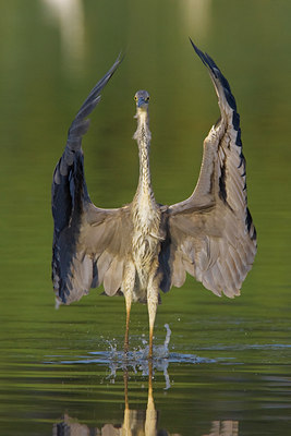 BUITEN BEELD Foto: 70253