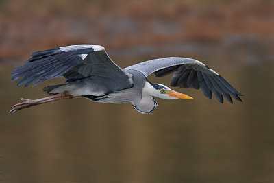 BUITEN BEELD Foto: 70258