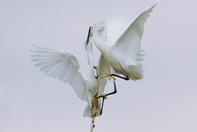 BUITEN BEELD Foto: 70314