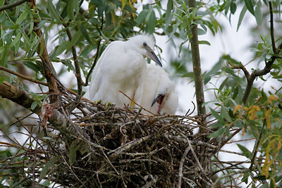 BUITEN BEELD Foto: 70323