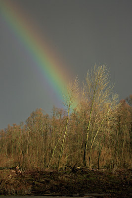 BUITEN BEELD Foto: 70398