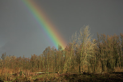 BUITEN BEELD Foto: 70399