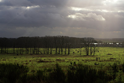 BUITEN BEELD Foto: 70404