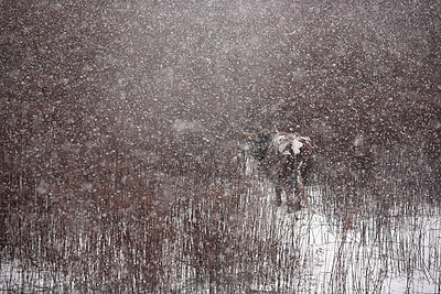 BUITEN BEELD Foto: 70410