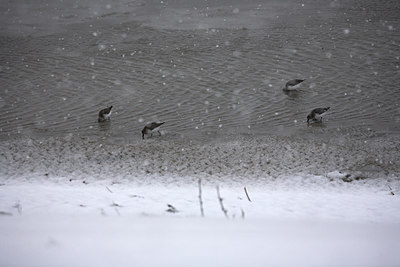 BUITEN BEELD Foto: 70419