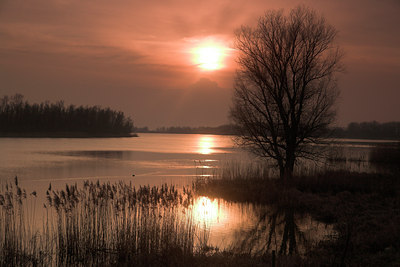 BUITEN BEELD Foto: 70420