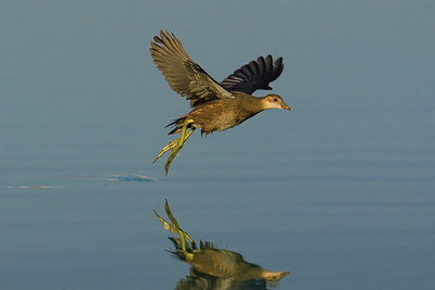 BUITEN BEELD Foto: 70457
