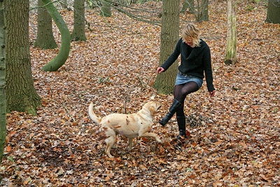 BUITEN BEELD Foto: 70532