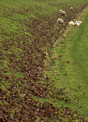 BUITEN BEELD Foto: 70738