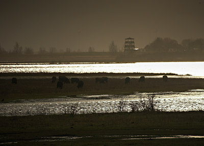 BUITEN BEELD Foto: 70743