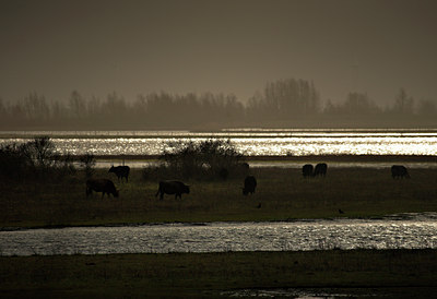 BUITEN BEELD Foto: 70745