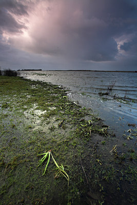 BUITEN BEELD Foto: 70749