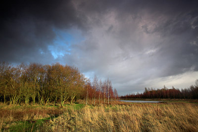 BUITEN BEELD Foto: 70751